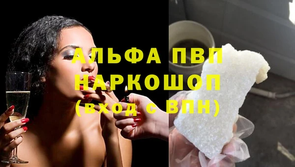 крисы Белокуриха