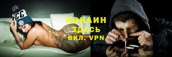 крисы Белокуриха