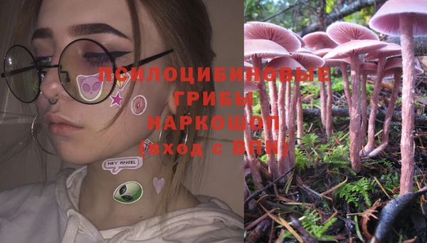 крисы Белокуриха