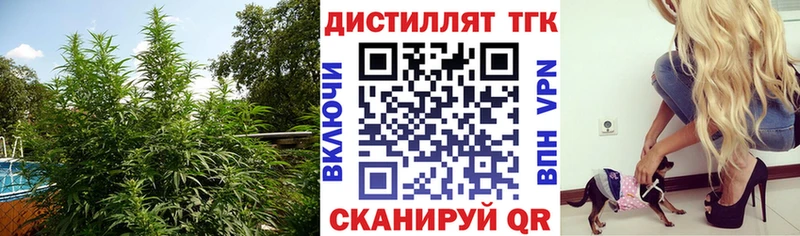 магазин  наркотиков  Купино  даркнет формула  ТГК жижа 