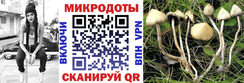 МЕГА рабочий сайт  где найти   Купино  Галлюциногенные грибы ЛСД 